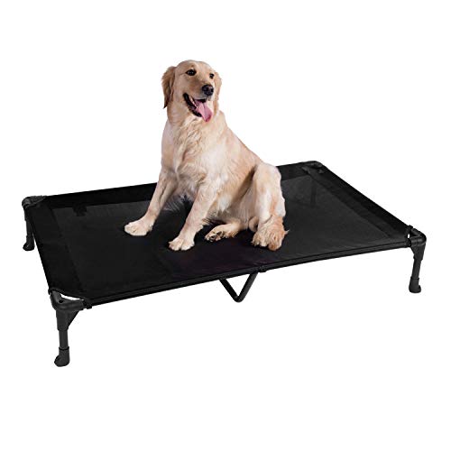 raised pet cot