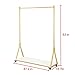 FURVOKIA Modern Simple Heavy Duty Metal Rolling Garment Rack with Wheel,Retail Display Clothing Rack with Wood, Single Rod Floor-Standing Hangers Clothes Shelves (Gold Square Tube B, 47.2 L)