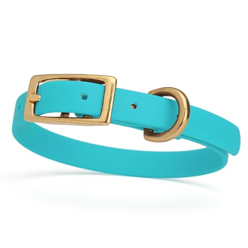 Image of Viper Biothane Heavy Duty Waterproof Dog Collar Strong Coated Nylon Webbing w /Solid Brass Hardware Odor-Proof Easy to Clean High Performance Fits Small Medium or Large Dogs, Sky Blue