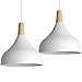iDEGU 2 piezas Lámpara Colgante Moderna, Lámpara de Techo Madera Metal Estilo Nordico Iluminación E27 Luz de Techo Interior para Comedor Salon Dormitorio, 20CM (Blanco)