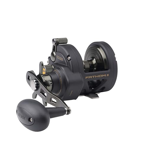 PENN Fathom II Star Drag Reel, Size 25 Fishing Reel, Right Handle Position, Gear Ratio 4.8:1, Black Gold