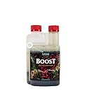 Boost Accelerator 250 ml – Cana.