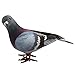 Simulation Foam Pigeon Model, Artificial Imitation Animal Fake Pigeon Simulated Foam Birds for Craft Home Ornaments Garden Wedding Decoration(Random)