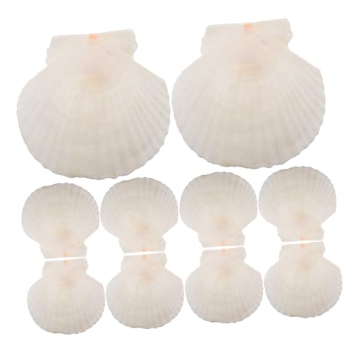 CLISPEED 21 Piezas Decoración De Concha Apoyo De Concha De Mar Conchas De Mar para Decoración Artesanal Conchas Artesanales Conchas De Mar para Hacer Manualidades Caparazón