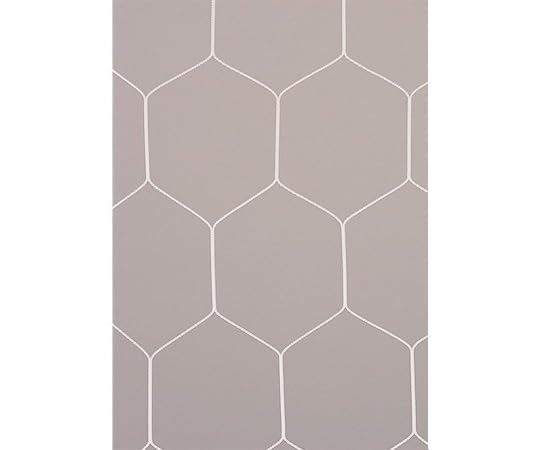 Amazon | エバニュー(EVERNEW) 一般サッカーゴールネット亀甲S117 白