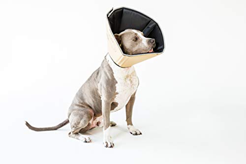 All Four Paws Comfy Cone Pet Cone For Dogs, Cats, X-Large, Tan - Comfortable Soft Dog Cone Collar Alternative For After Surgery, Wound Care, Spay, Neuter - Dog And Cat Recovery Collar #TOP2
