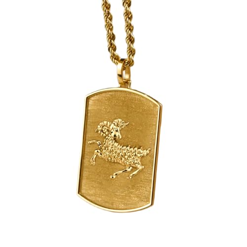 Cadena de 45,72 cm y colgante Aries de plata para lucir con tus looks diarios