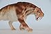 WLNTDOLA Smilodon Figure Saber-Toothed Tiger Felidae Model PVC Decoration Gift for Adult