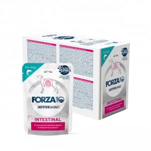 FORZA 10 Active Intestinal, Alimento Umido Completo per Cani Adulti al Pesce, 12 Bustine da 100 g