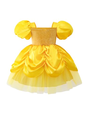 Toddlers Girls Dress Short Puffy Sleeves Lace Rose Accent Ruffled Tulle Skirt Soft Infant Halloween Christmas2