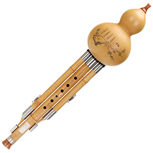Hulusi Flûte Traditionnelle Chinoise En Bambou - Instrument En Do Pour Débutants, Avec Étui Et Nœud