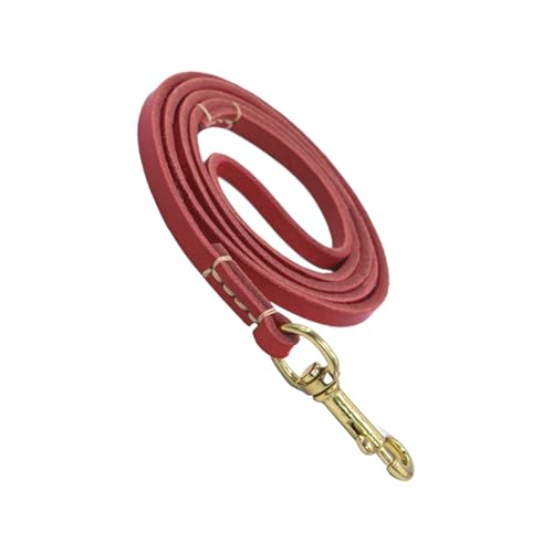 Arnés de coche para perro, cinturón de seguridad para perro con gancho, cinturón de seguridad para adiestramiento antigolpes, con diseño ergonómico para entrenamiento de caminar, accesorio para