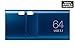 SAMSUNG Type-C™ USB Flash Drive, 64GB, Transfers 4GB Files in 15 Secs w/Up to 300MB/s 3.13 Read Speeds, Compatible w/USB 3.0/2.0, Waterproof, 2022, Blue, MUF-64DA/AM