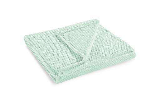 DecoKing Kuscheldecke 70x150 cm Pfefferminze Decke Microfaser Wohndecke Tagesdecke Fleece weich sanft kuschelig skandinavischer Stil Minze Henry