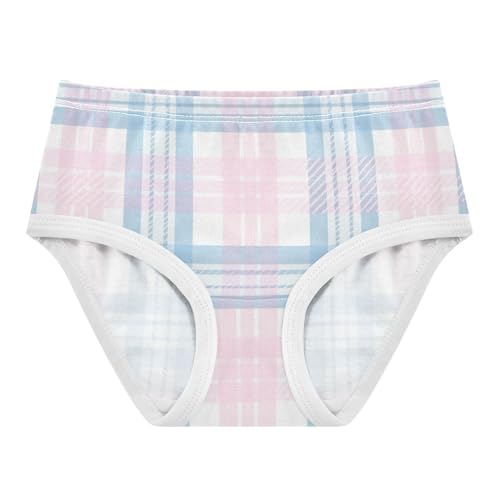 Girls' Panties Organic Underpants for Young Girls Toned Plaid Art Asset in Sizes 2T,3T, 4T, 5T, 6Y and 8Y