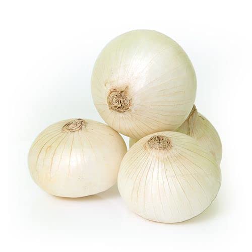 Onion White Vegetable Seeds Pack Of 30 Seeds By Live Green (B09RPSZC3L) Amazon Price History, Amazon Price Tracker