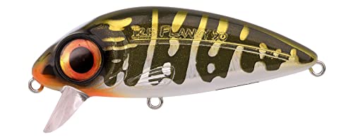 Spro Iris Flanky Northern Pike, 9cm, 20gr, Slow Floating (ohne Rassel) | Wobbler