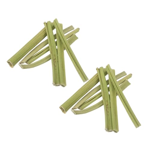 LIOOBO 無添加天然パパイヤ茎 小動物用噛むおもちゃ うさぎ ハムスター