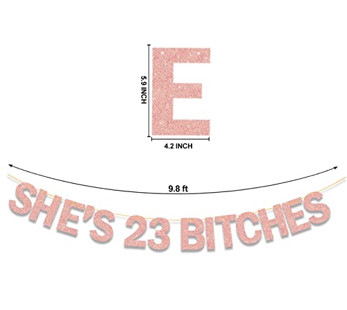 Image of She's 23 Bitches Banner 23rd Birthday Decorations for Women, Funny Glitter Rose Gold She's 23 Party Supplies