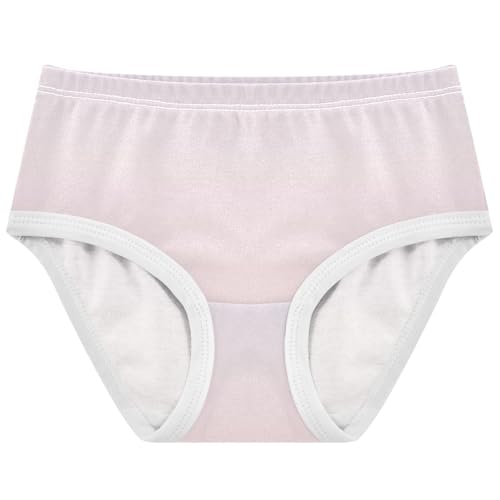 Joisal Magnolia Misty Rose Gradient Cute Panties Girl Toddlers Underwear Floral Cotton Aesthetic Briefs Kids Undies 2t