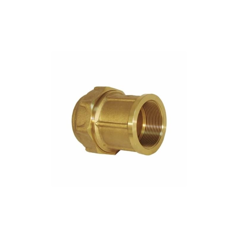 RIEGOPRO Enlace Rosca Hembra Fabricado en Latón. Utilizado Como Accesorios para Tuberías de Riego de Polietileno. Disponible en 20mm, 25mm, 32mm, 40mm, 50mm y 63mm (32mm x 1")