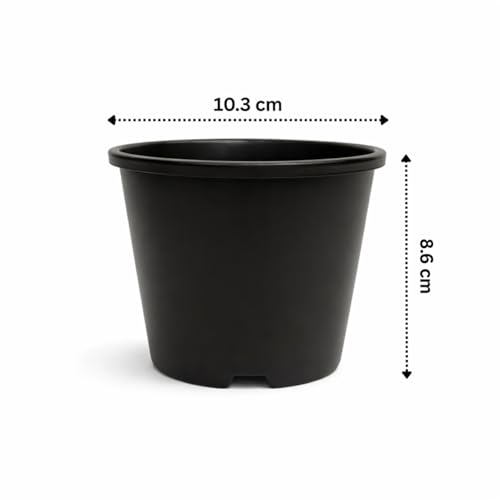 Image of 4 Inch Heavy Duty Plastic Planter | Grower Pot /Garden Pot for Home & Garden (Black) (Pack of 6)