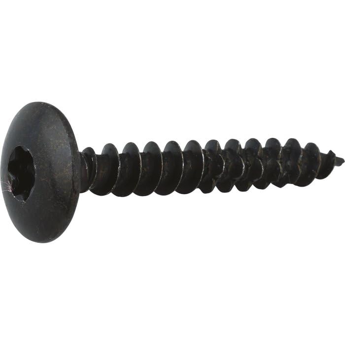 Vis penture à empreinte Torx TX pour une fixation sans dérapage en acier