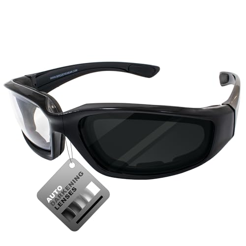 Birdz Eyewear Oriole 24 Photochromic Motorcycle Safety Glasses