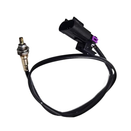 Capteur d'oxygène O2 Polaris pour Roadmaster 2018 idéal pour les longs road trips