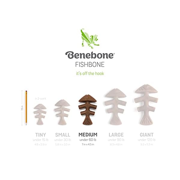 Benebone-Fishbone-Durable-Dog-Chew-Toy-for-Aggressive-Chewers-Real-Fish-Made-in-USA-Medium Benebone Fishbone Durable Dog Chew Toy for Aggressive Chewers, Real Fish, Made in USA, Medium