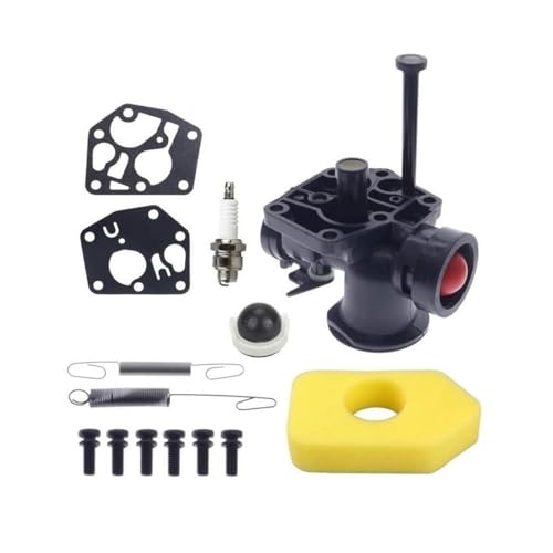 Ressort de régulateur et filtre à air pour moteurs Briggs et Stratton 498811 691859