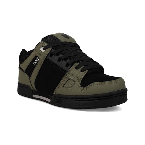 DVS Men's Skate Shoe