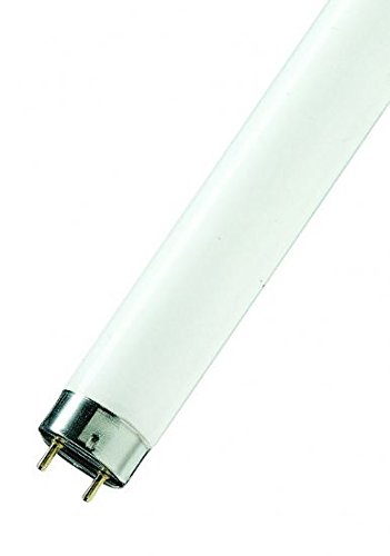 F18W/840 T8 2ft Triphosphor cool white
