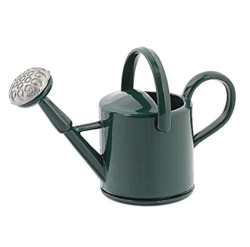 Mini-Utensilien Giesskanne 4 x 1.5 x 2.5 cm, Grün