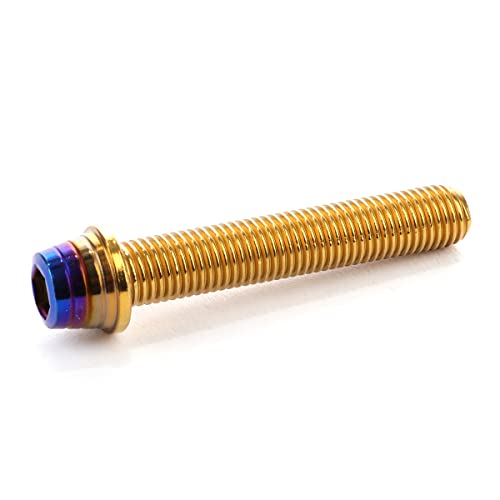 �L���b�v�{���g M10×55mm �e�[�p�[�V�F���w�b�h �J�X�^���{���g �f�U�C�� �w�b�h �X�e�����X�� �S�[���h&�`�^���J���[ 2�{�Z�b�g