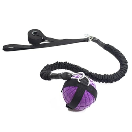 Pelotas de peso para ejercicio | Entrenamiento de gimnasio en casa, bolas dinámicas con peso | Pelota de ejercicio de cuerpo completo, pelota de peso profesional para amantes del fitness, familias