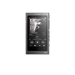 音楽聴くやつ NW-ZX300シリーズ | ポータブルオーディオプレーヤー WALKMAN