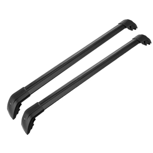 IXEUYN Auto Dachträger für Renault ZOE R135 R110 R240 R90 Q