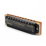 Harmonica 10 Hole Diatonic Blues Armonicas Woodwind Musical Instrument Melodica(Key of D Black)