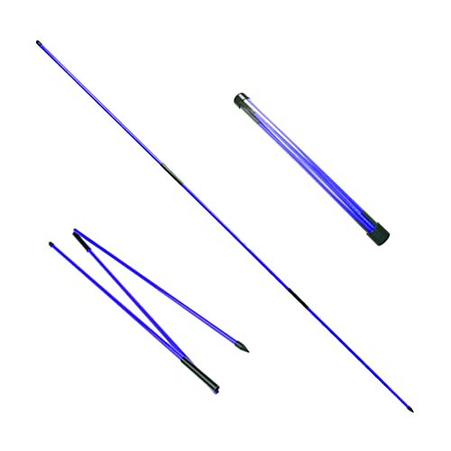 Eshan Golf Alignment Sticks 2 Pack Swing Training Aid Equipment Collapsible Trainer Practice Rods Posture Corrector In Handy Storage Tube Case For Men Women Golfer Swinging (Blue) #TOP6