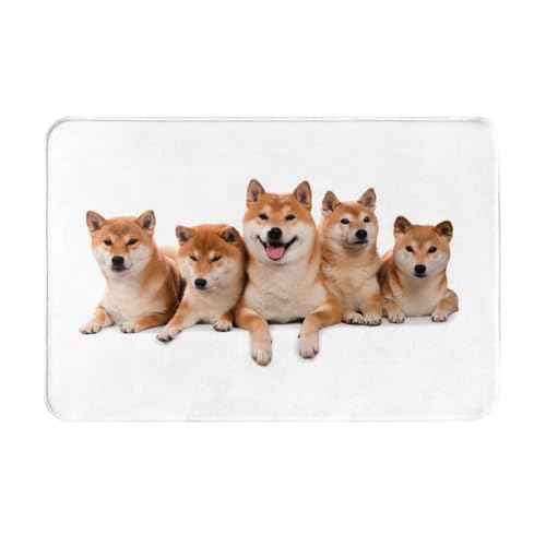 Y Č   Aj`O~ hI[V[Yg[}bg oX[t[XQ[pbh 40x60cm