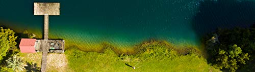 Garmin Striker Cast, Castable Sonar with GPS, Pair with Mobile Device and Cast from Anywhere, Reel in to Locate and Display Fish on Smartphone or Tablet (010-02246-02)