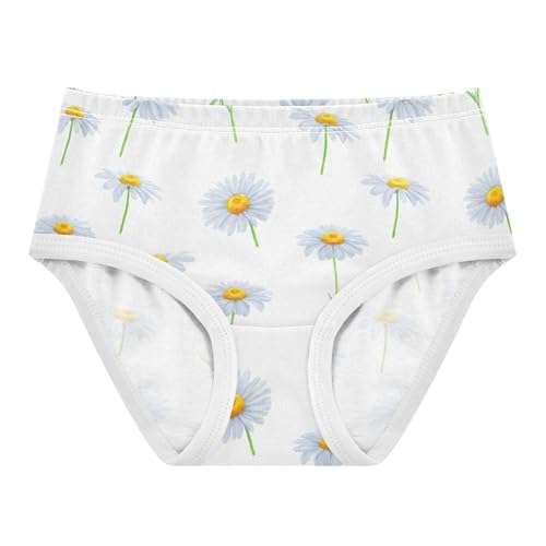 Daisies White Petals Floral Toddler Girls Underwear 2t Cotton Girl Panties Cute Colorful Briefs Underpants