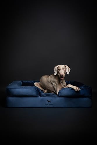 Image of NOAH & PAW XL Dog Bed, 45x35x11 Inch, Orthopedic Large Dog Beds, Eggshell Memory Foam Infused with Cooling Gel, Inner Cover, Water Resistant, Machine Washable (Velvet Sofa Collection)