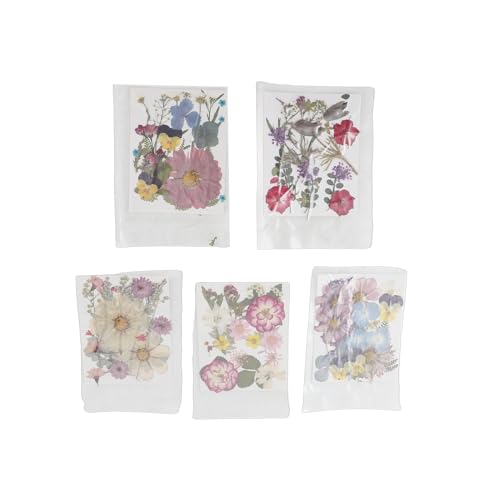 100 flores prensadas secas para manualidades variadas miniatura 3