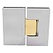 CRL Vienna 180 Series Chrome with Brass Accent Glass-to-Glass Hinge