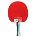 HUATINGRHPP Ping Pong Racchetta Ping Pong Deal para Juegos Profesionales y recreativos Jugadores Club Deportivo Entrenadores Entrenamiento Principiantes Pelota, Long