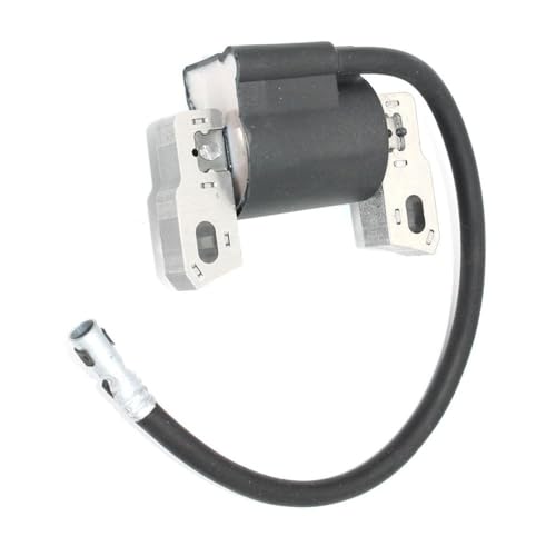 Bobine d'allumage pour résoudre les problèmes de démarrage 12J887 20110