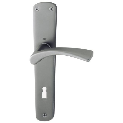 Preisvergleich Produktbild HOPPE Langschild-Garnitur 'Bedford' Aluminium Stahl matt 114L / 315 - 2323284