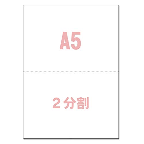 A5TCY 2 }CN~VړPPCp (100) X[p[zCg YO-024